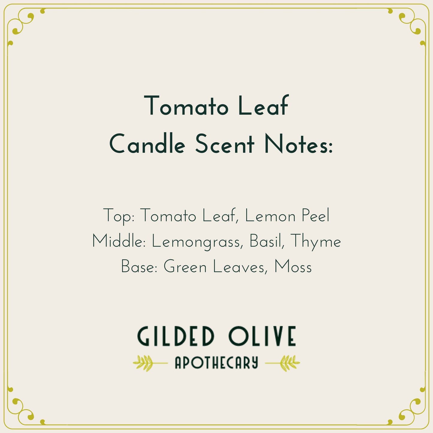 Soy Candle – Tomato Leaf – Herbal Lemongrass, Tomato & Basil