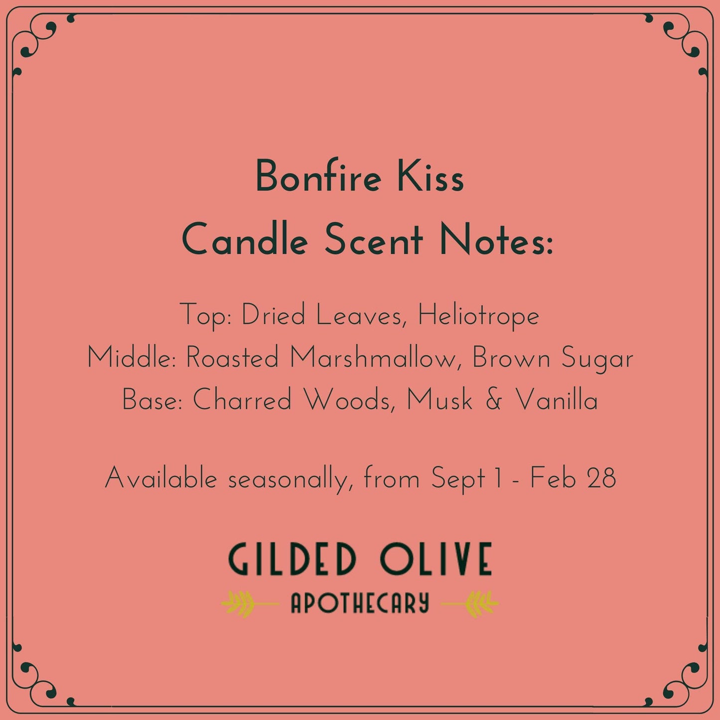Soy Candle – Bonfire Kiss – Dried Leaves & Marshmallows